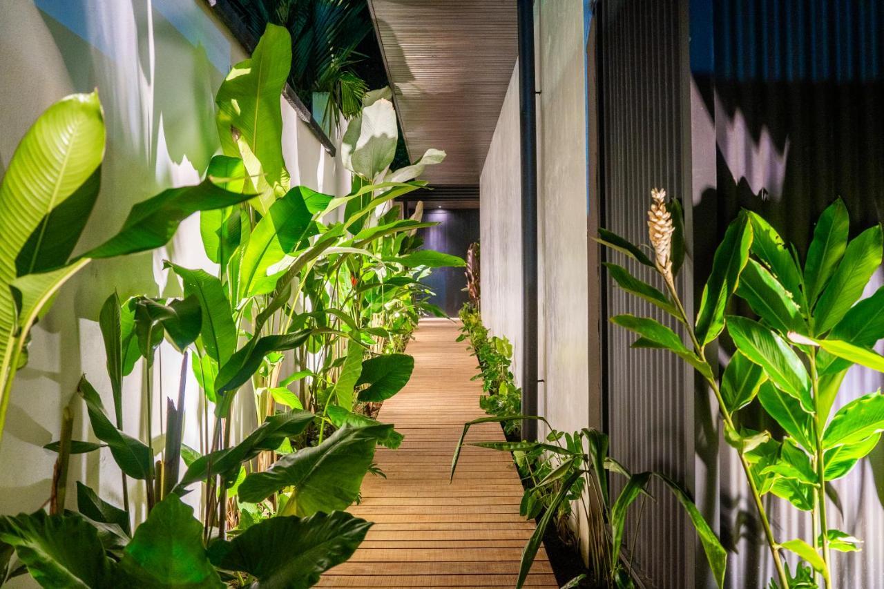 Danta Santa Lofts Apartment La Fortuna ภายนอก รูปภาพ